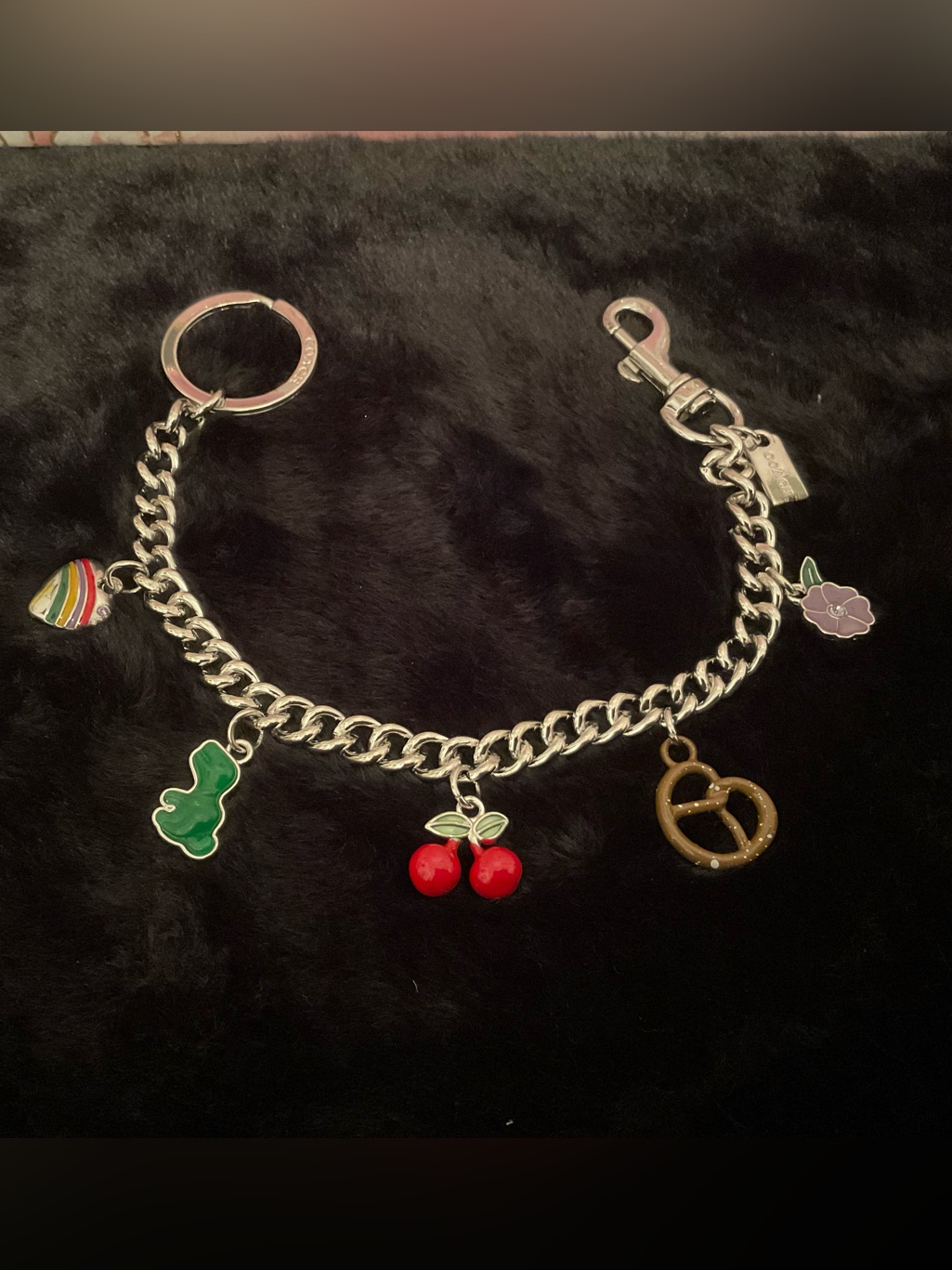 Nwot Bagchain Charm
